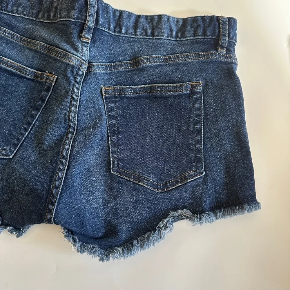 H&M Denim Raw Edge Cutoff Shorts Sz 4